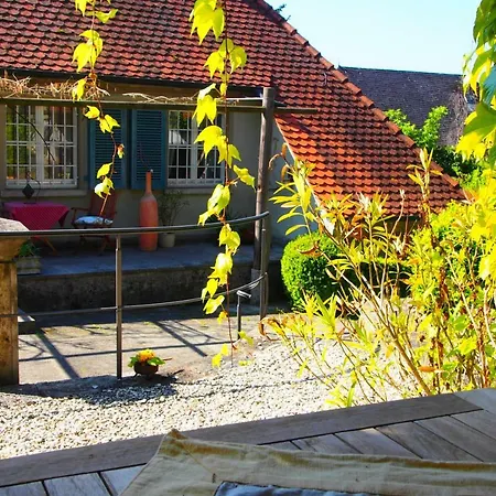 Apartment Ferienwohnung Meintzinger